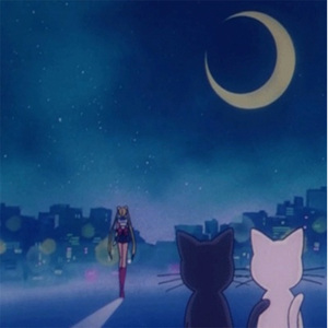 安徽妇搡BBBB搡BBBB小说
